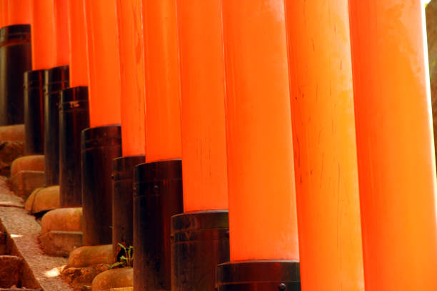 Torii gates on Inari Mountain in Fushimi Ward in Kyoto, Japan. The gates make up part of the vast Fushimi Inari Shrine, one of the top shrines in Japan.