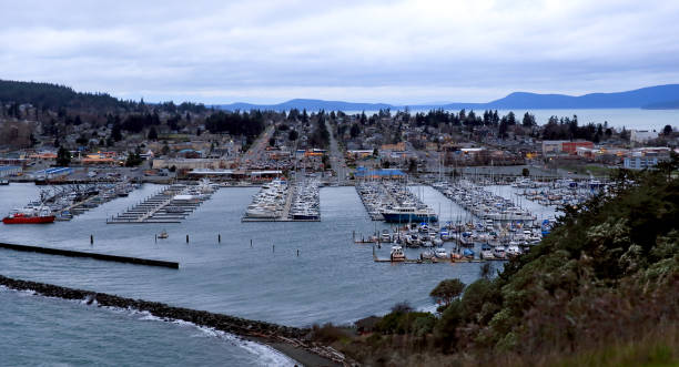 istock Overhead View of Padilla Bay, Anacortes 910319132