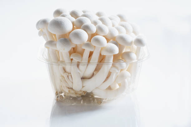 mushroom white shimeji mushroom in plastic container Blewit stock pictures, royalty-free photos & images