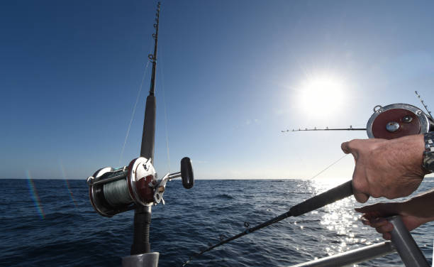 istock Fishing Rod & Reel on a Charter Boat. 910322714
