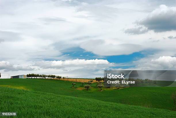 シルバーの雲 - Horizonのストックフォトや画像を多数ご用意 - Horizon, イタリア, カラー画像