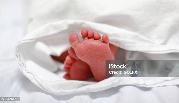 Newborn Baby Feet Stock Photo - Download Image Now - New Life, Physical Injury, Allergy