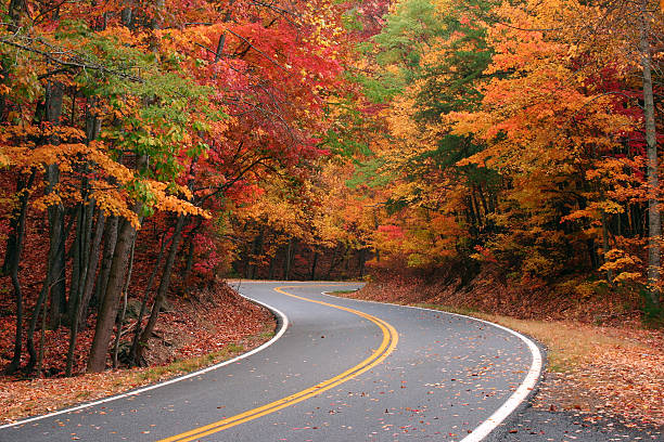 curva de outono - road country road empty autumn - fotografias e filmes do acervo