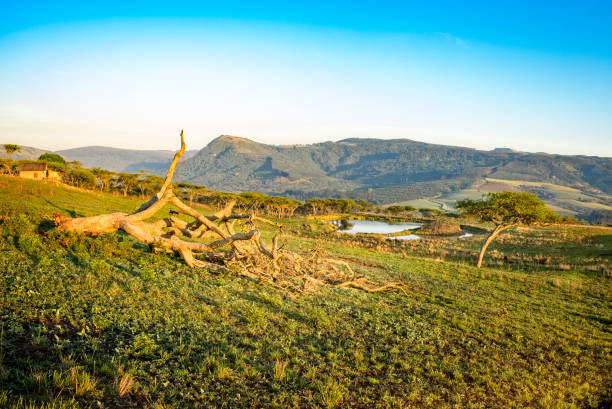 Drakensberg mountains landscape morning sun
