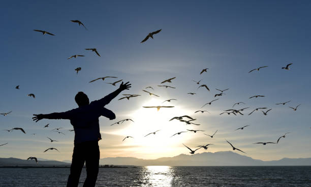 istock inspiration from birds and emancipatory positive power 910331952