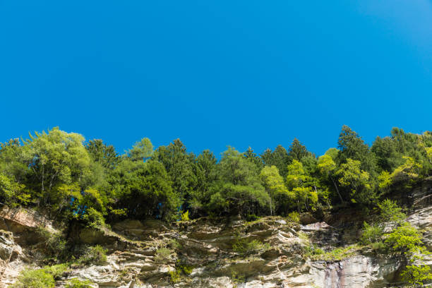 Landscape, forest and blue sky