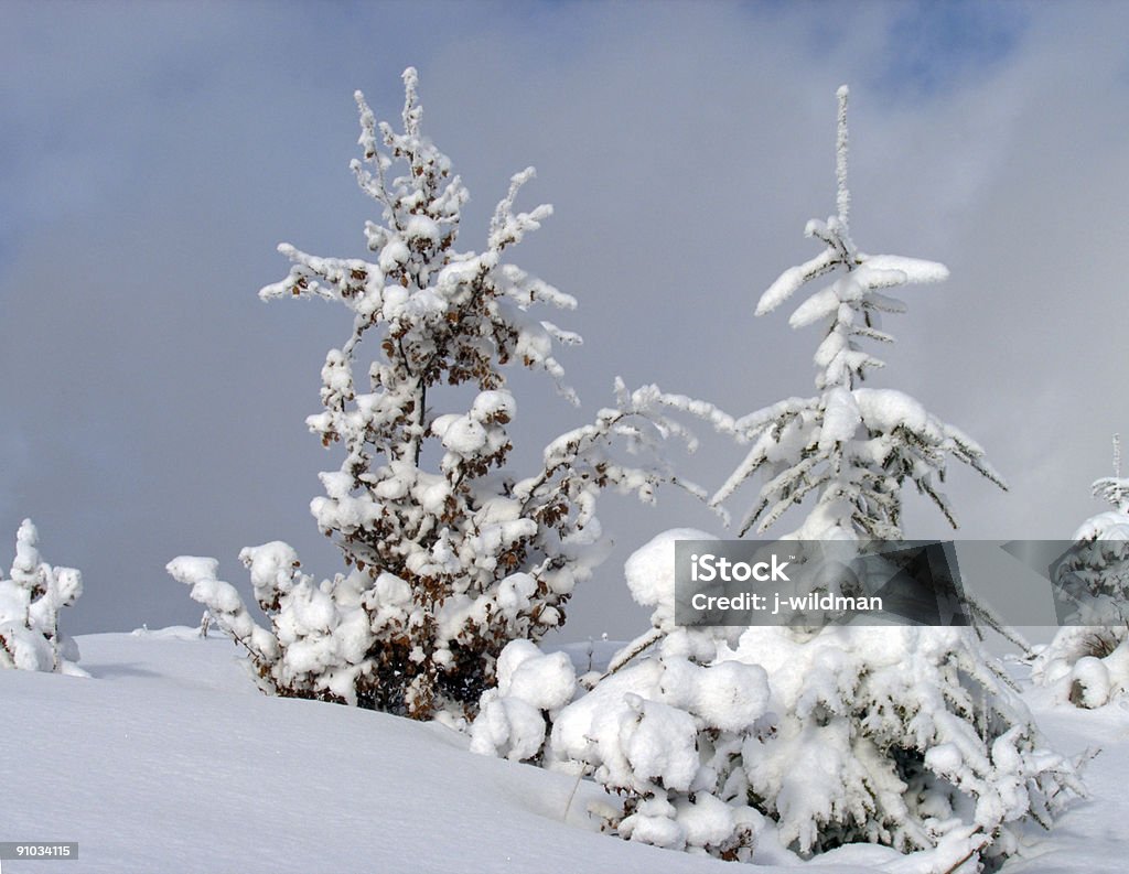 Paisagem de neve - Foto de stock de Alpes europeus royalty-free