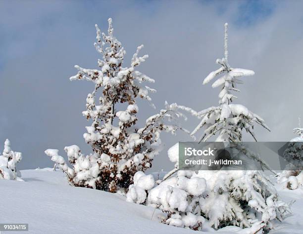 Foto de Paisagem De Neve e mais fotos de stock de Alpes europeus - Alpes europeus, Azul, Beleza natural - Natureza
