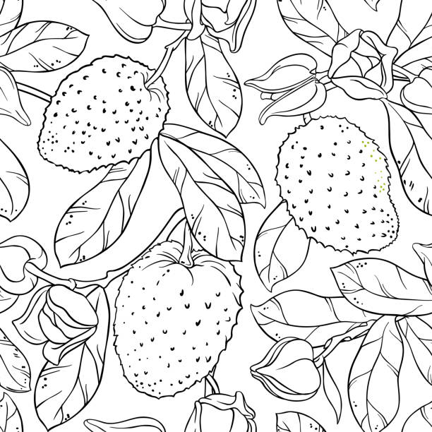 soursop seamless pattern soursop branches seamless pattern on white background annona muricata stock illustrations