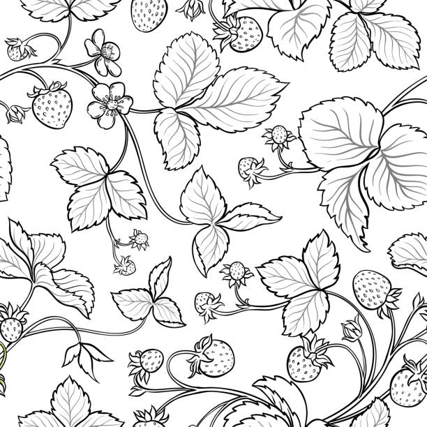 ilustrações de stock, clip art, desenhos animados e ícones de strawberry seamless pattern - strawberry plant