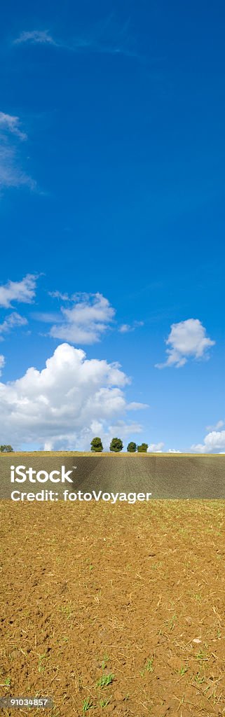 Terra, albero, cielo - Foto stock royalty-free di Agricoltura