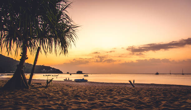 istock Sunset at a beach of phuket 910352052