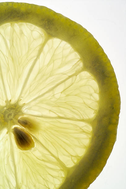 rondelle de citron (vertical) sur la table (dos éclairés - fruit lightbox lemon portion photos et images de collection