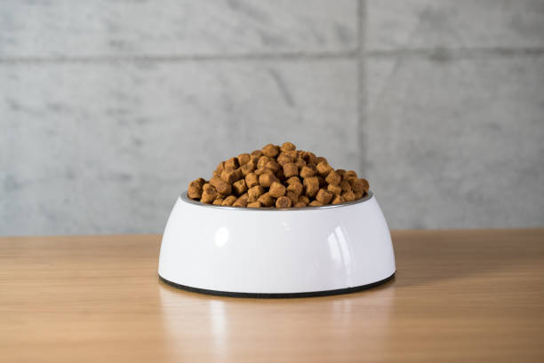 Dog food in bowl stock photo