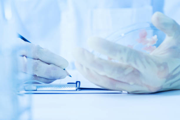 istock The scientist test or science research,science concept,science education,science background ,science experiments and selective focus. 910353914