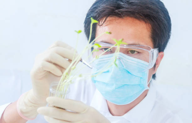 istock scientists working at the laboratory,scientist leaning against the whiteboard in laboratory,scientist background,male scientist looking in laboratory,scientists studying of science concept and selective focus. 910354126