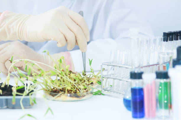 istock scientists working at the laboratory,scientist leaning against the whiteboard in laboratory,scientist background,male scientist looking in laboratory,scientists studying of science concept and selective focus. 910354142