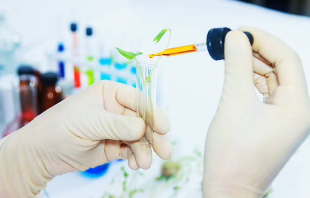 istock scientists working at the laboratory,scientist leaning against the whiteboard in laboratory,scientist background,male scientist looking in laboratory,scientists studying of science concept and selective focus. 910354146