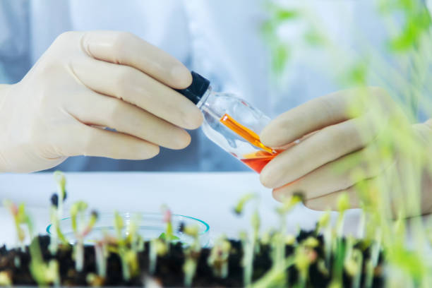 istock scientists working at the laboratory,scientist leaning against the whiteboard in laboratory,scientist background,male scientist looking in laboratory,scientists studying of science concept and selective focus. 910354160