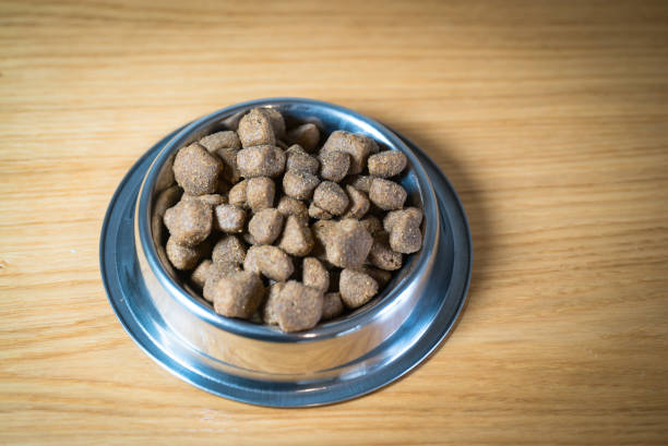 istock Dog food in bowl 910354256