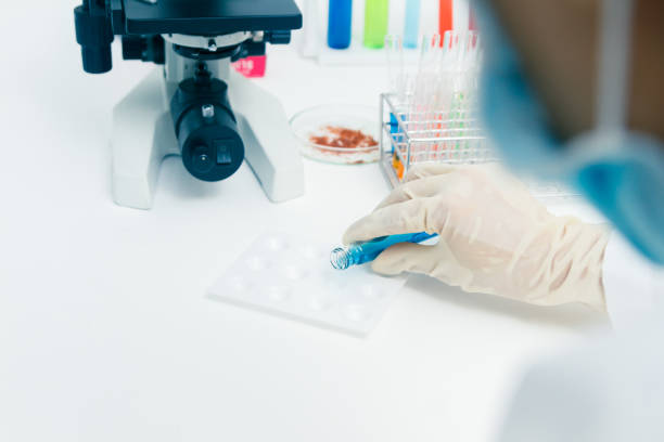 istock (SCIENCE) Scientist is certain activities on experimental science like mixing chemicals, microscope, entry data to develop science medicine or food for everyone on the world, science background. 910357342