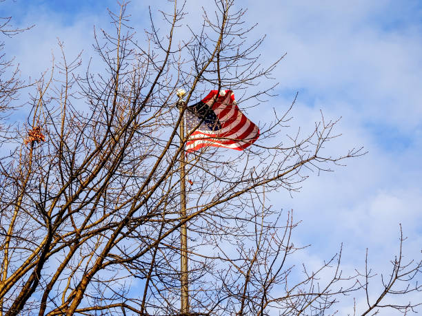 istock American Flag in the wind 910360234