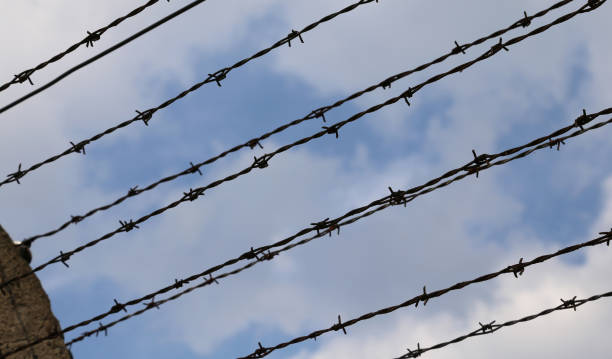 istock many barbwire in the refugee camp to avoid the evasion 910364144