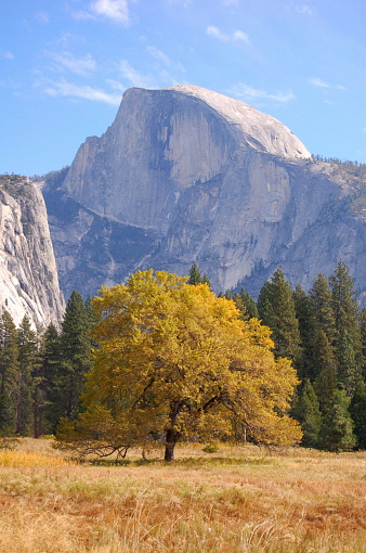 Yosemite National Park in summer