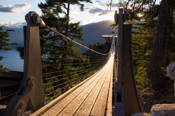 ponte suspensa - vancouver suspension bridge bridge people - fotografias e filmes do acervo