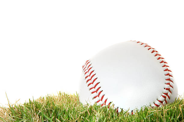 istock White baseball lying on the green grass 91036707
