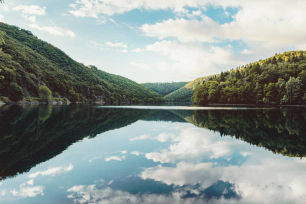 vista panorámica del lago y bosque por drone - eifel fotografías e imágenes de stock