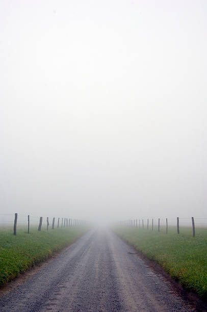 istock foggy country road 91036799
