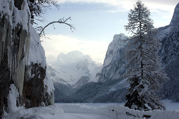 cold and frozen stock photo