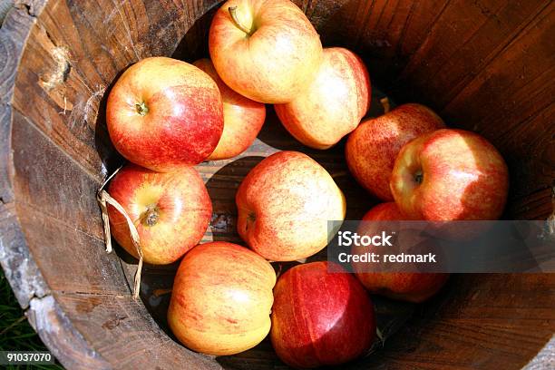 Nowo Zebranego English Garden Jabłka - zdjęcia stockowe i więcej obrazów 10-11 lat - 10-11 lat, Anglia, Czerwony