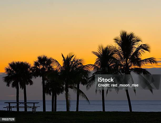 Palm Beach Sunrise Stock Photo - Download Image Now - Florida - US State, Miami, Public Park