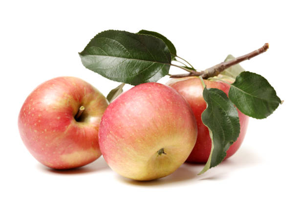 istock Ripe red apples   and apple leaf isolated on white background 910371654