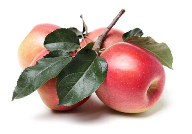 istock Ripe red apples   and apple leaf isolated on white background 910371720