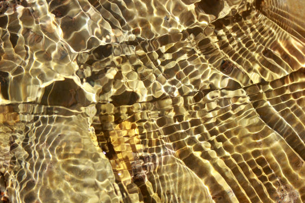 istock The bottom of a clear stream 910374388