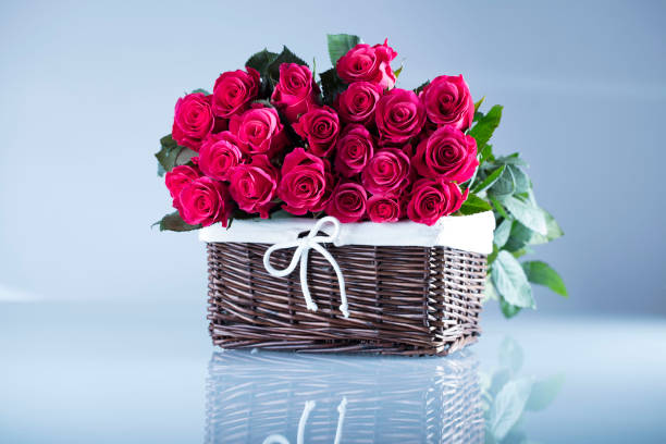 Valentine's Day/Love & Romance Lifestyle Millennial Recieving Female with Gifts and Flowers