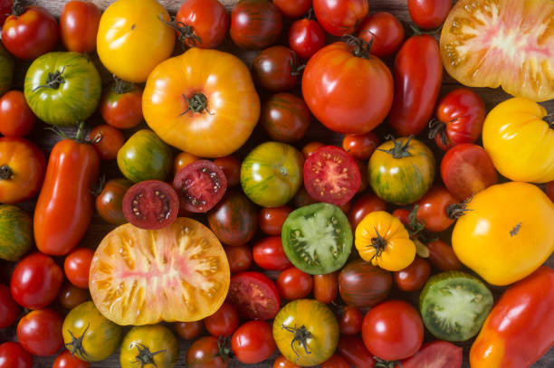 coloridos tomates - heirloom tomato tomato vegetable fruit fotografías e imágenes de stock