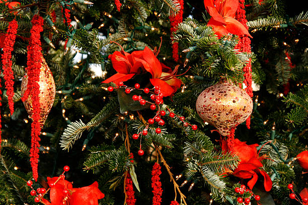 Christmas Tree stock photo