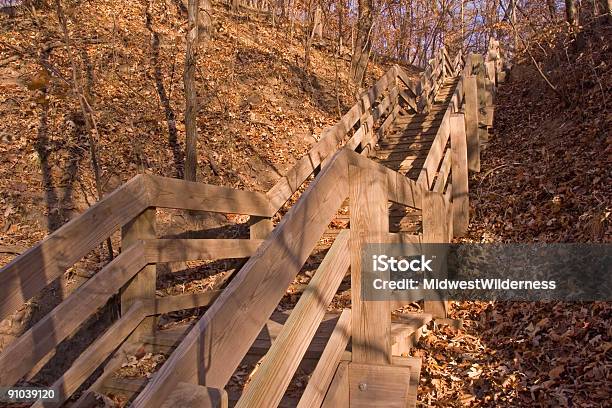 Hiking Path Stairs Stock Photo - Download Image Now - Autumn, Color Image, Footpath