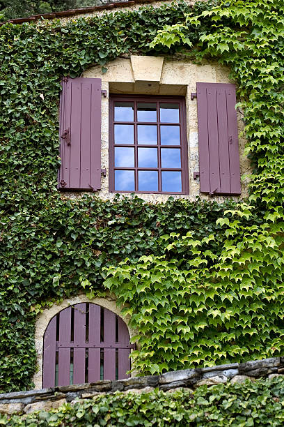 istock La Roque-Gageac, France 91039241