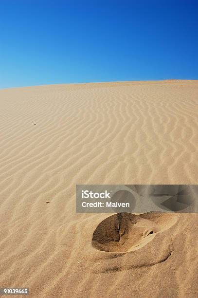 Foto de Um Pequeno Passo Para O Homem e mais fotos de stock de Areia - Areia, Carolina do Norte - Estado dos EUA, Céu - Fenômeno natural