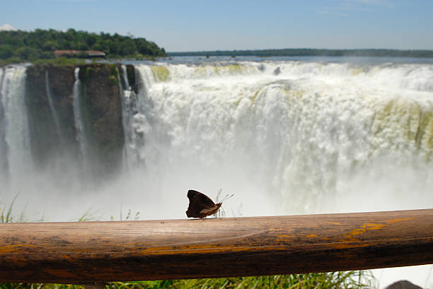 Iguazu Falls from the Brazilian side of the falls.