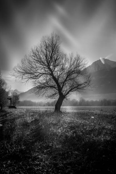 istock countryside landscape with lake and mountain background 910402820