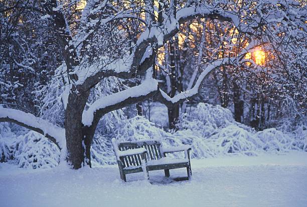 Wintertime Sun setting on a lonely bench in Concord,Massacusetts. concord massachusetts stock pictures, royalty-free photos & images