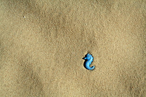 Anchor - Vessel Part, Anchored, Beach, Galleon