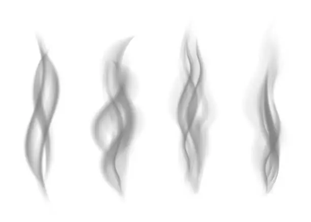 Vector illustration of Realistic gray  smoke isolated on white  background.