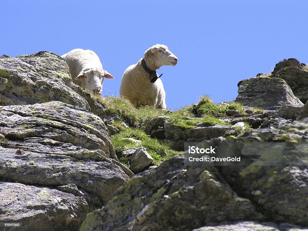 Swiss naturale - Foto stock royalty-free di Alpi